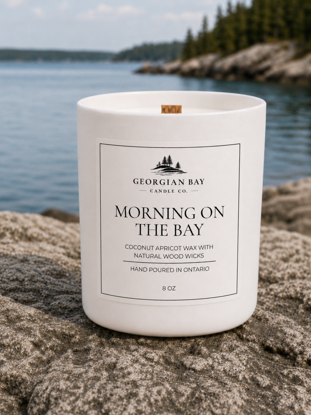 Morning on the Bay