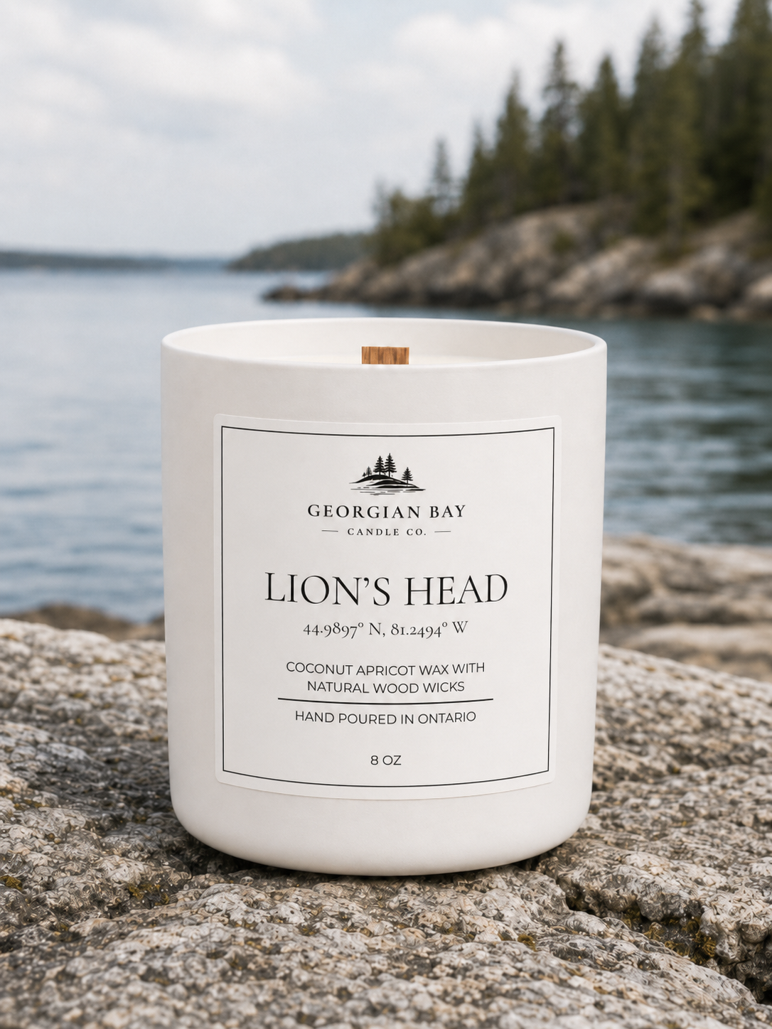 Lion's Head